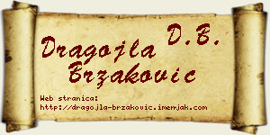 Dragojla Brzaković vizit kartica